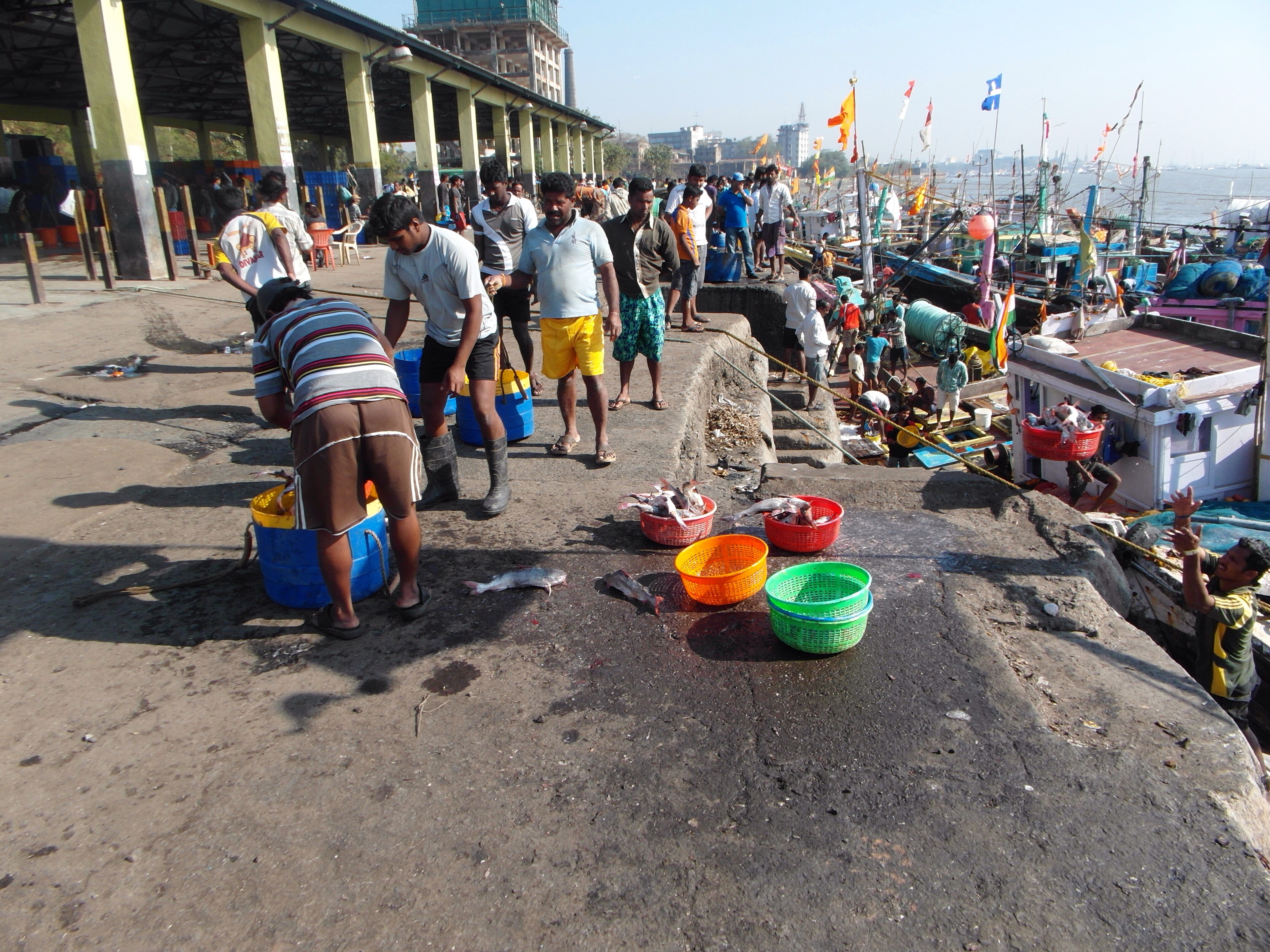 Sassoon Fishing Dock