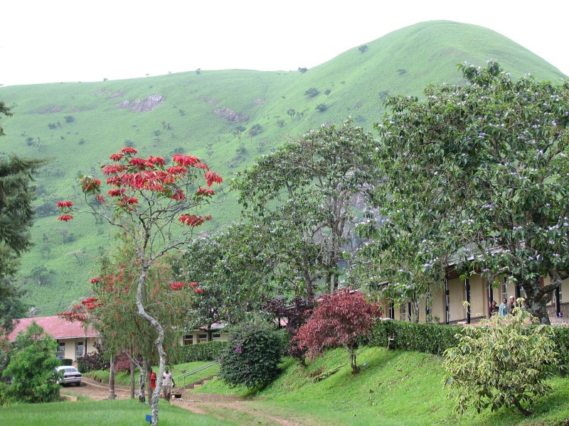 Cameroon