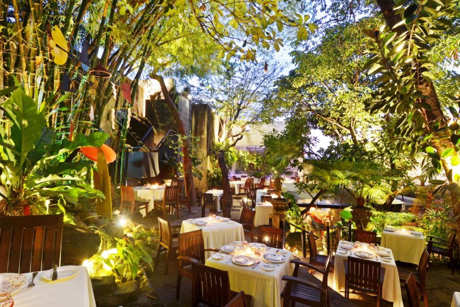 Puerto Vallarta Favorite Experiences : Cafe Des Artistes - Jardin